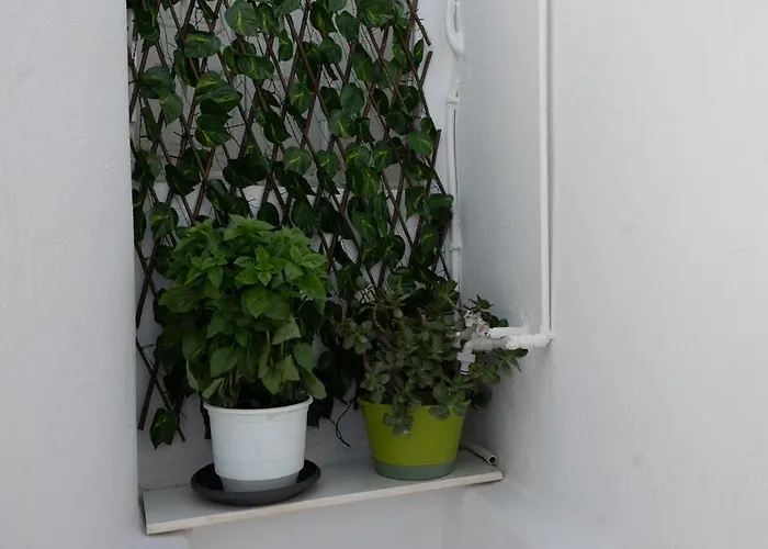 Anchor Yalos Daire *